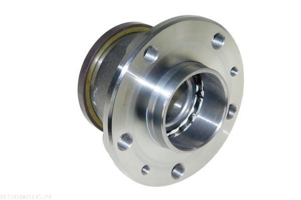 AUTOMEGA 110128510 Wheel Bearing Kit