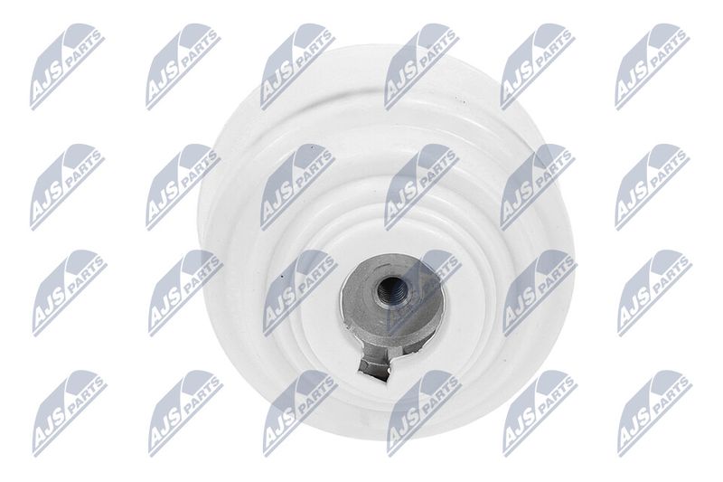 Paigutus, Mootor, NTY ZPS-ME-099