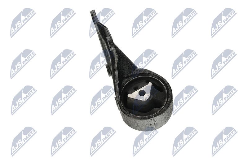 Paigutus, Mootor, NTY ZPS-CH-004