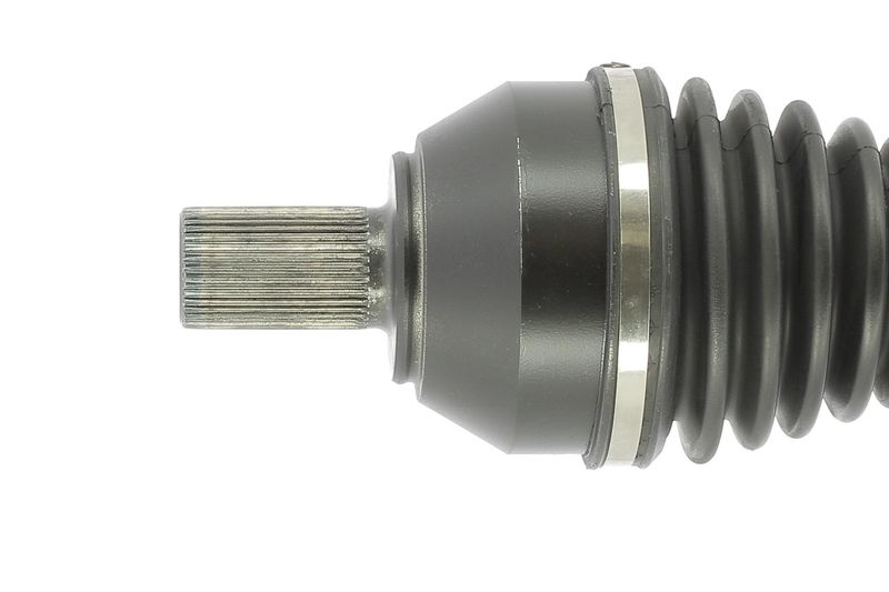 CEVAM 50627 Pusašis