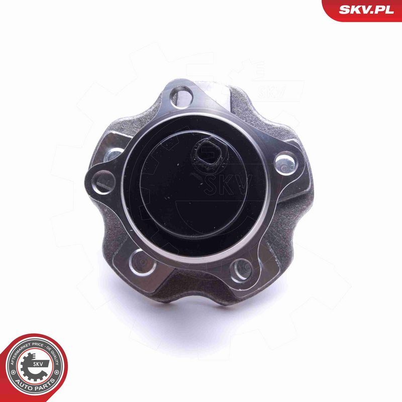 ESEN SKV 29SKV498 Wheel Bearing Kit
