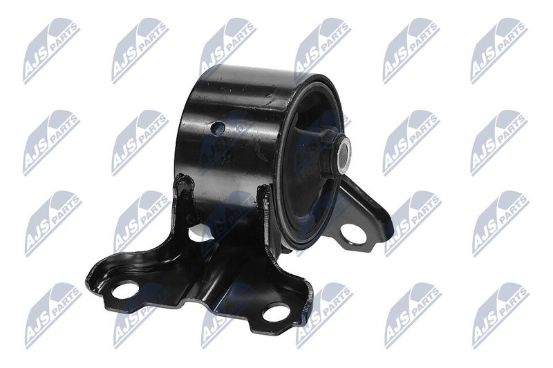 Paigutus, Mootor, NTY ZPS-CH-179