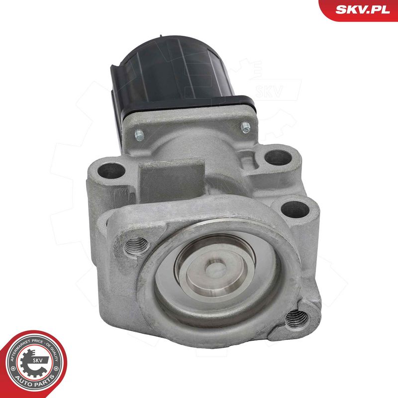 EGR-klapp, ESEN SKV 14SKV300