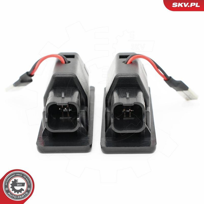 Numbrivalgustus, ESEN SKV...