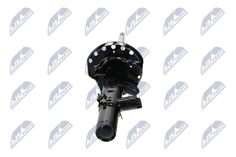 Amort, NTY A-LR-033