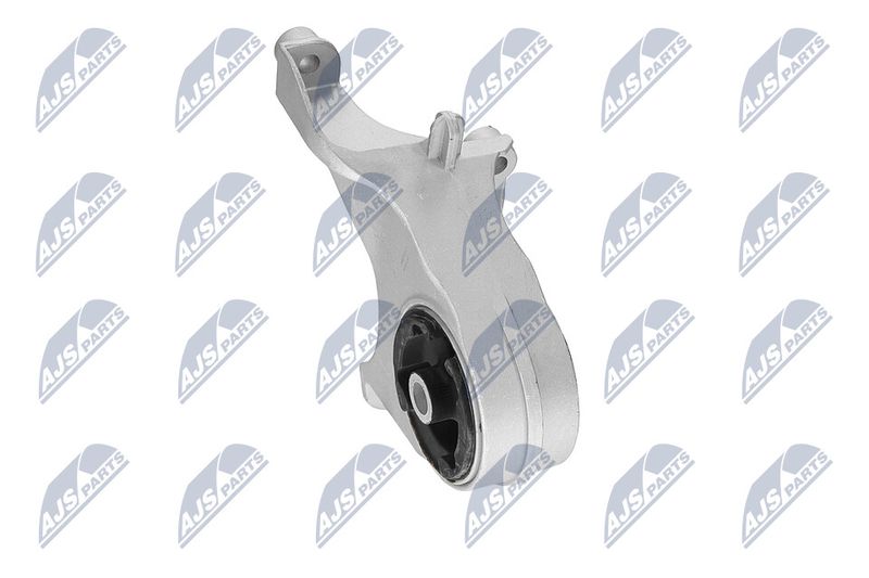 Paigutus, Mootor, NTY ZPS-CH-149