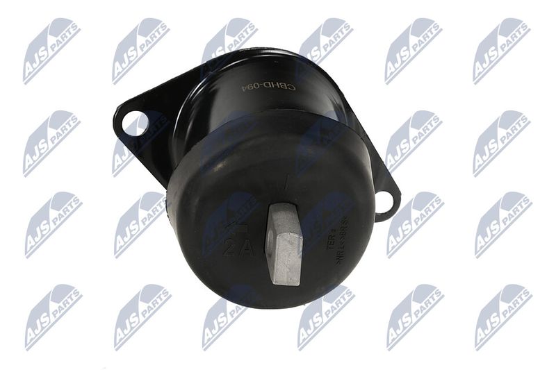 Paigutus, Mootor, NTY ZPS-HD-094