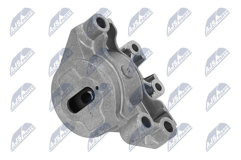 Paigutus, Mootor, NTY ZPS-PE-031