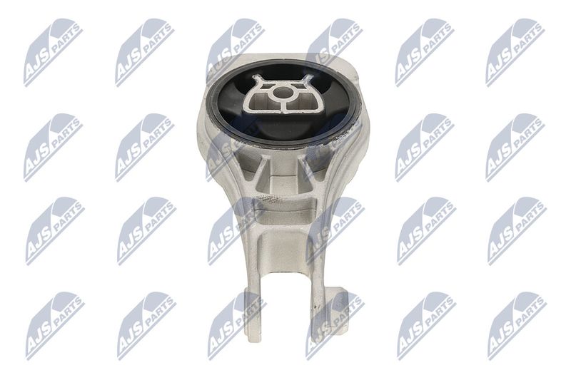 Paigutus, Mootor, NTY ZPS-PL-079