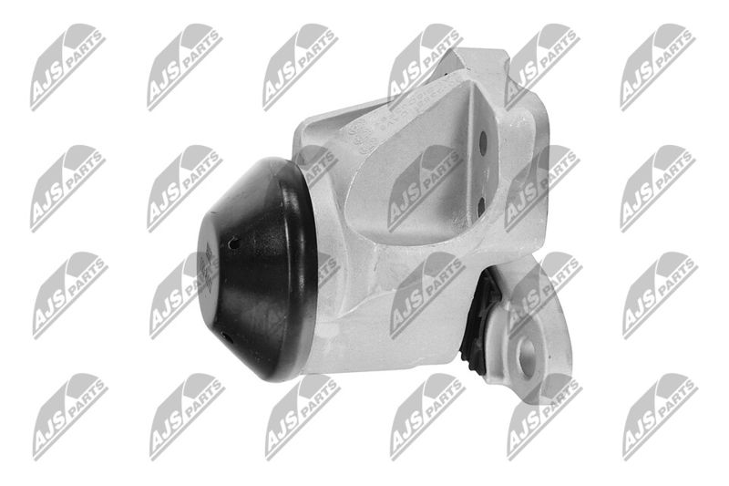 Paigutus, Mootor, NTY ZPS-FR-053