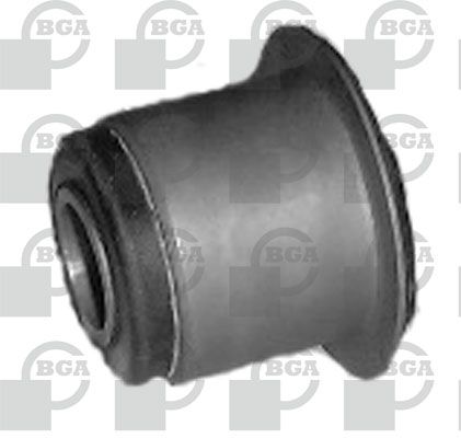BU3304.JPG