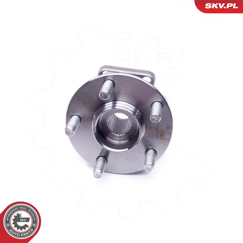 Rattalaagrikomplekt, ESEN SKV 29SKV181