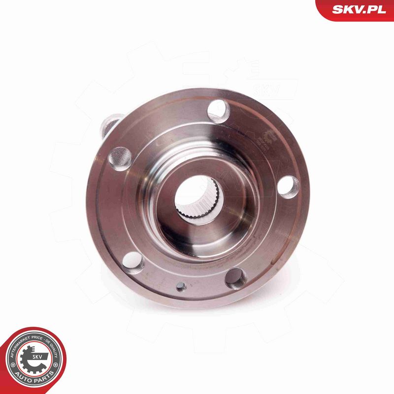 ESEN SKV 29SKV039 Wheel Bearing Kit