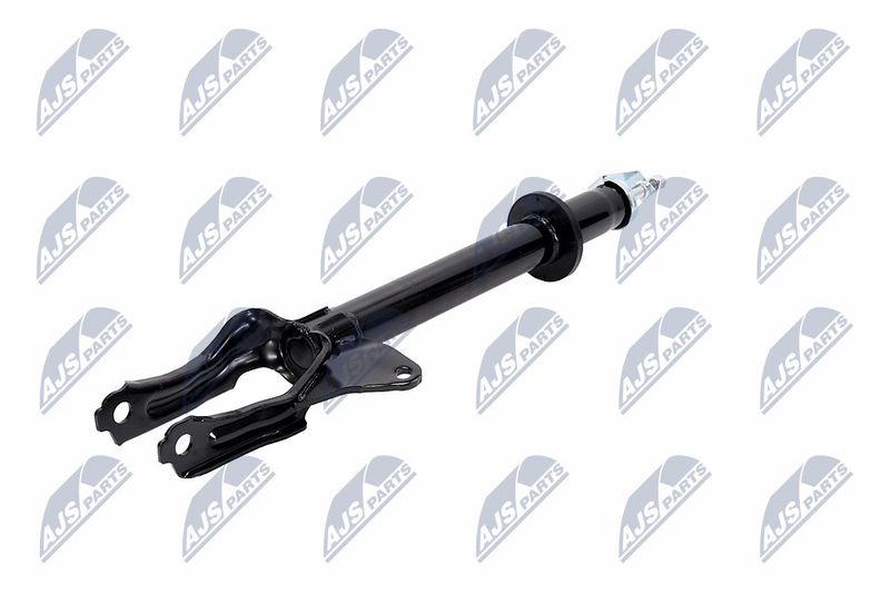 Amort, NTY A-CH-082