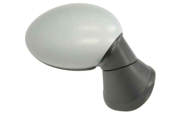 BLIC 5402-05-0884311P Exterior Mirror