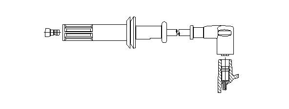 721_.JPG
