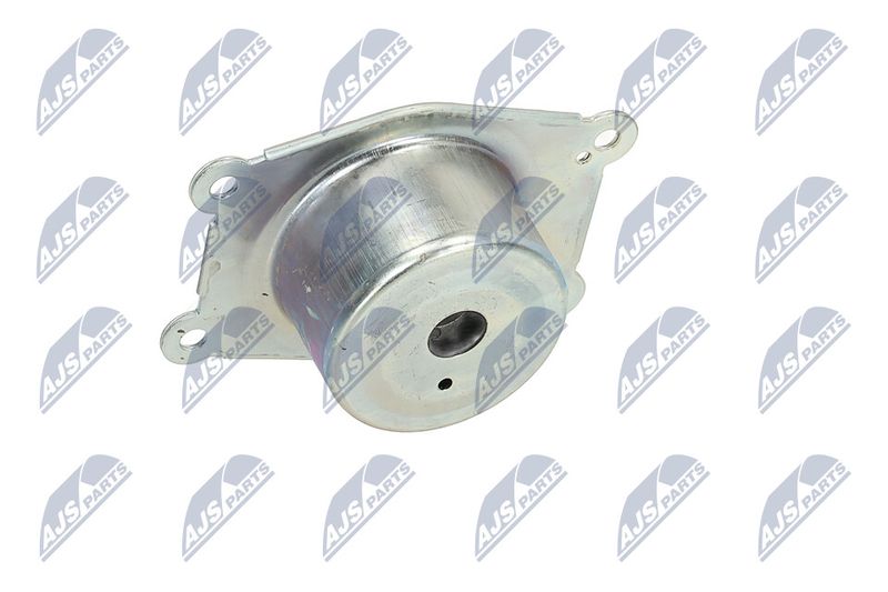 Paigutus, Mootor, NTY ZPS-PL-044