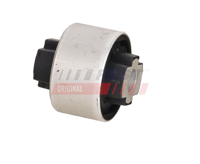 Puks, FAST FT18384
