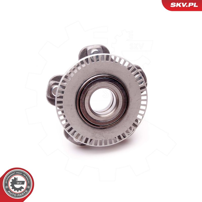 Rattalaagrikomplekt, ESEN SKV 29SKV065