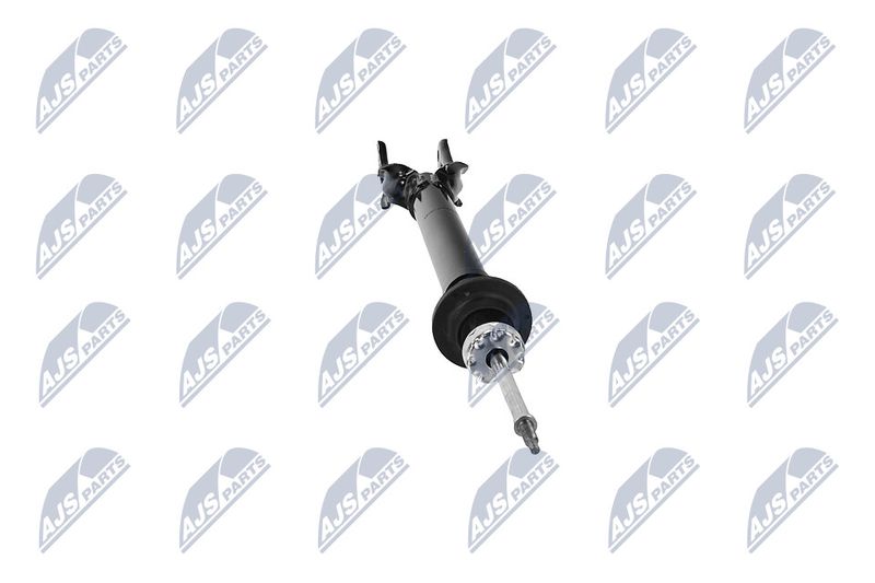 Amort, NTY A-CH-079