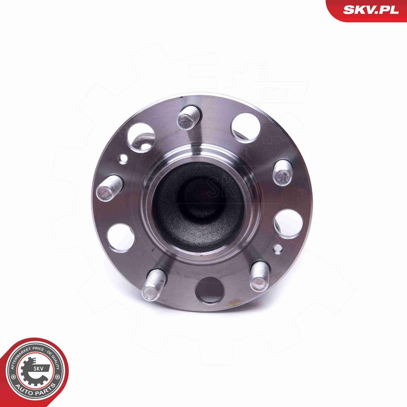 ESEN SKV 29SKV293 Wheel Bearing Kit