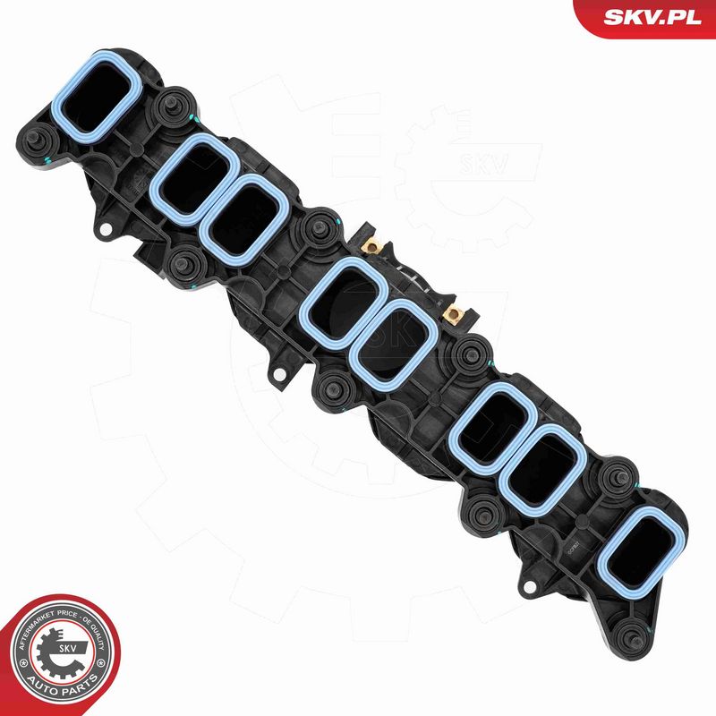 ESEN SKV 49SKV089 Intake Manifold Module