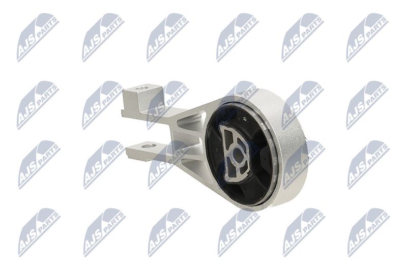 Paigutus, Mootor, NTY ZPS-PL-064