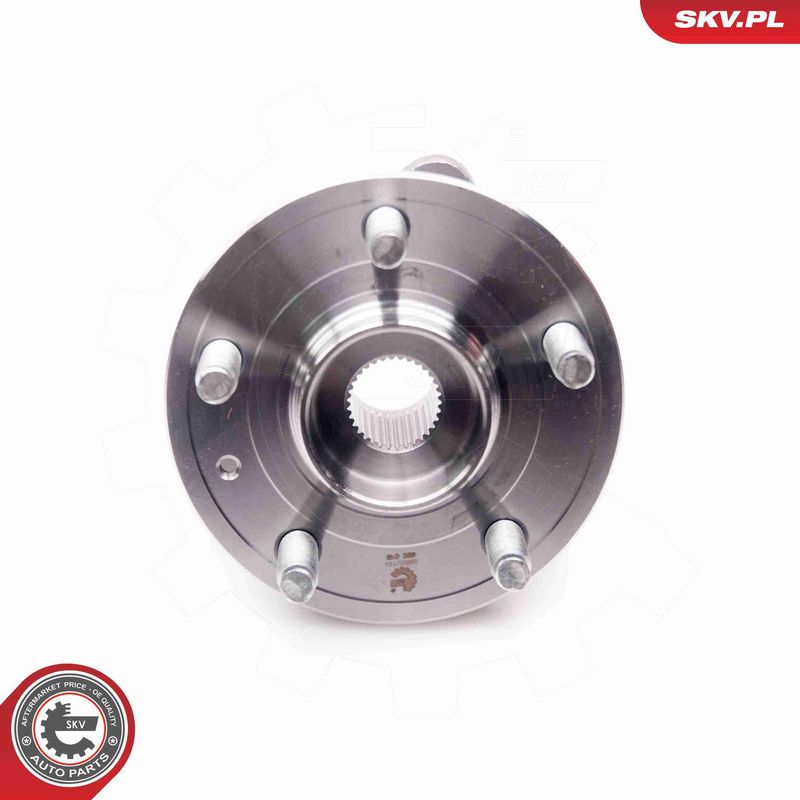 ESEN SKV 29SKV124 Wheel Bearing Kit