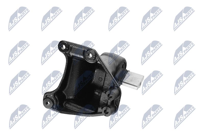 Paigutus, Mootor, NTY ZPS-CH-173