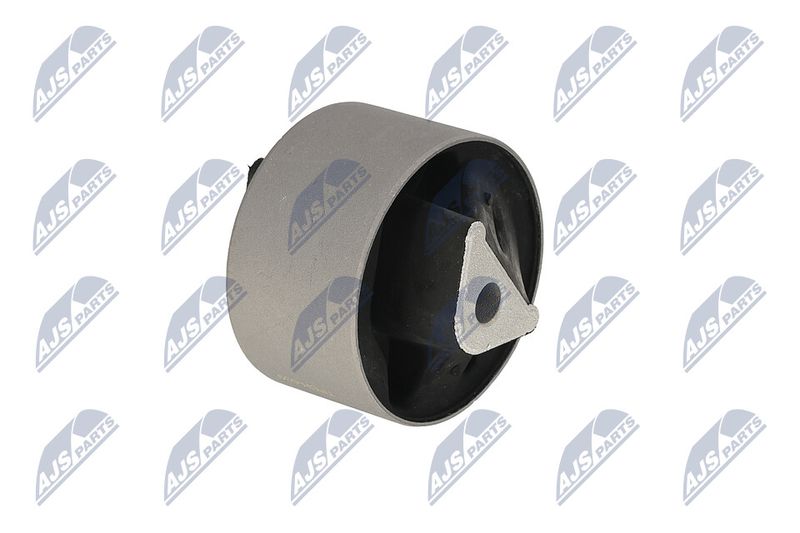 Paigutus, Mootor, NTY ZPS-CH-039