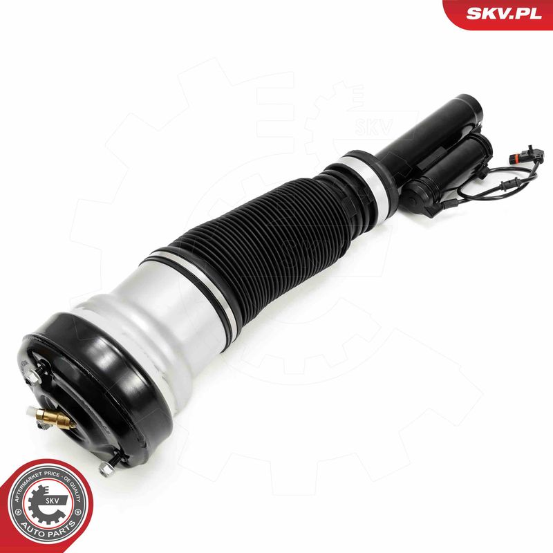 ESEN SKV 58SKV718 Air Suspension Strut