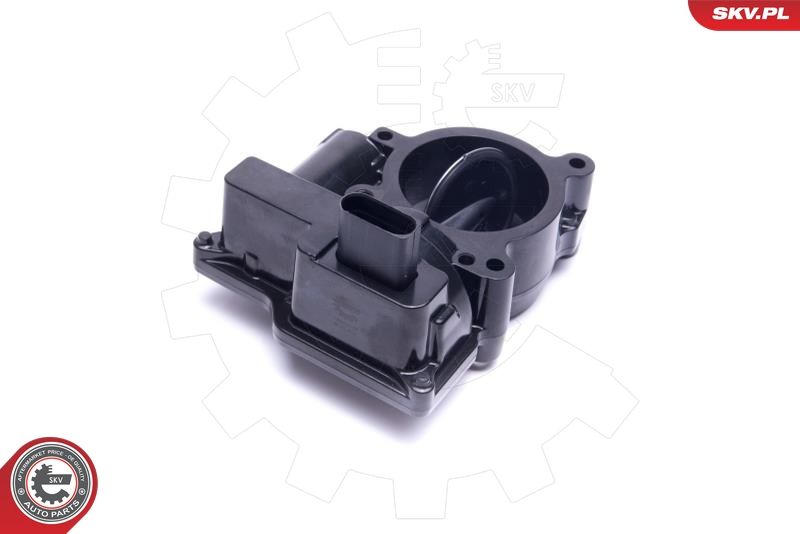 ESEN SKV 12SKV107 Throttle Body