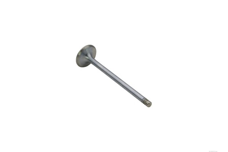 AUTOMEGA 130097110 Exhaust Valve