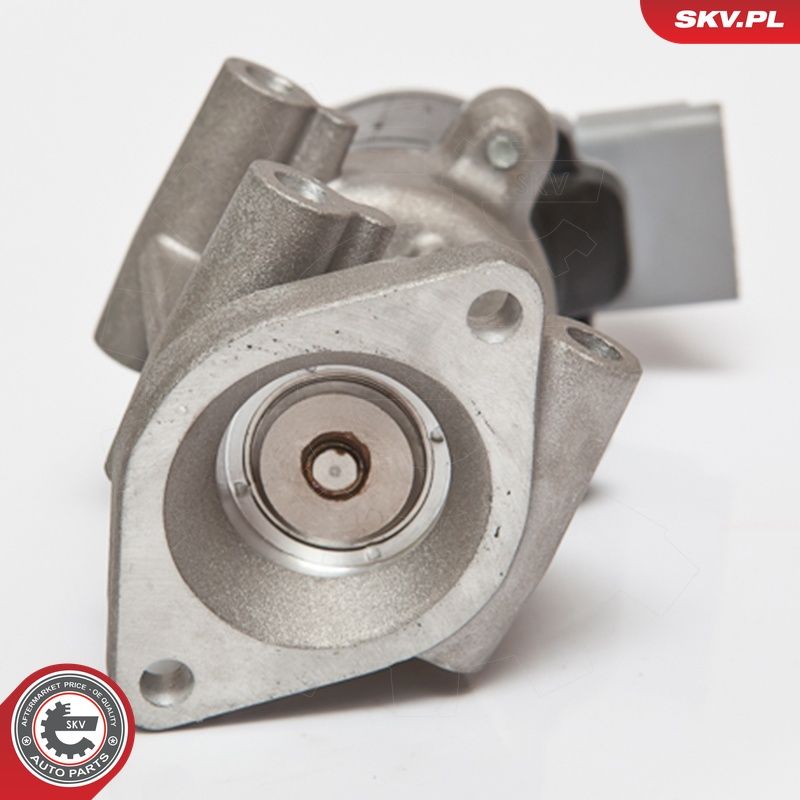 EGR-klapp, ESEN SKV 14SKV066