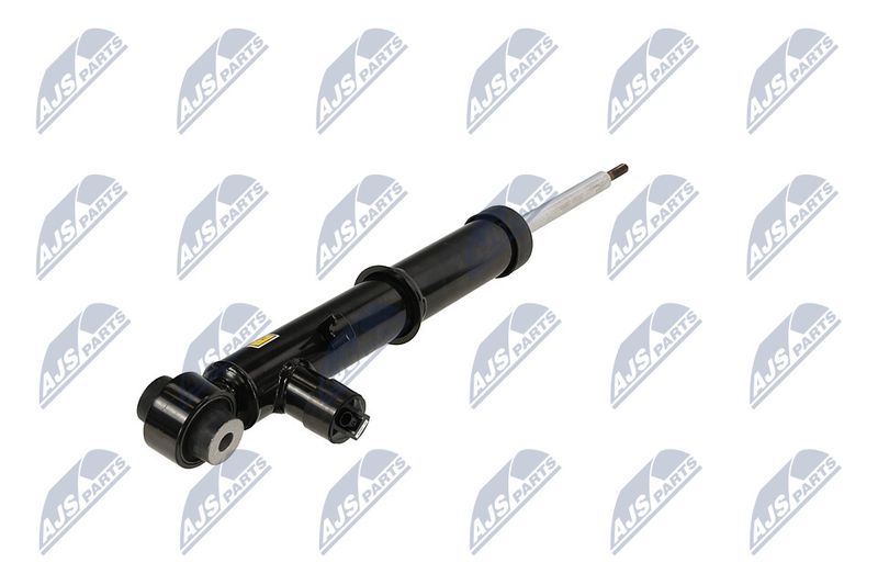 Amort, NTY A-LR-035
