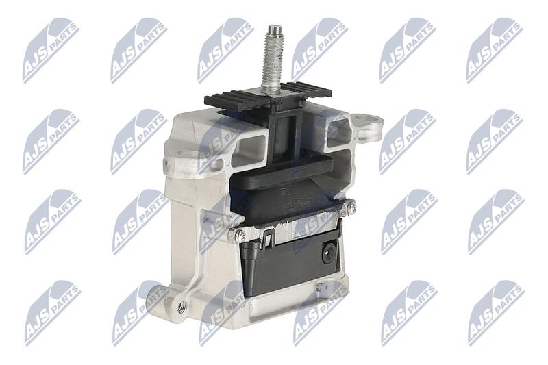 Paigutus, Mootor, NTY ZPS-LR-011