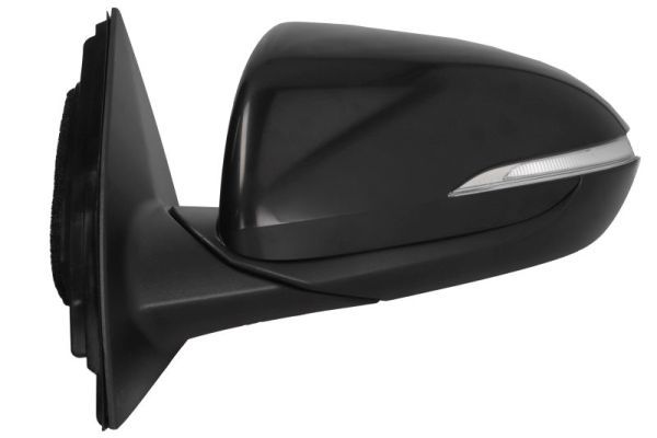 BLIC 5402-20-1966316P Exterior Mirror