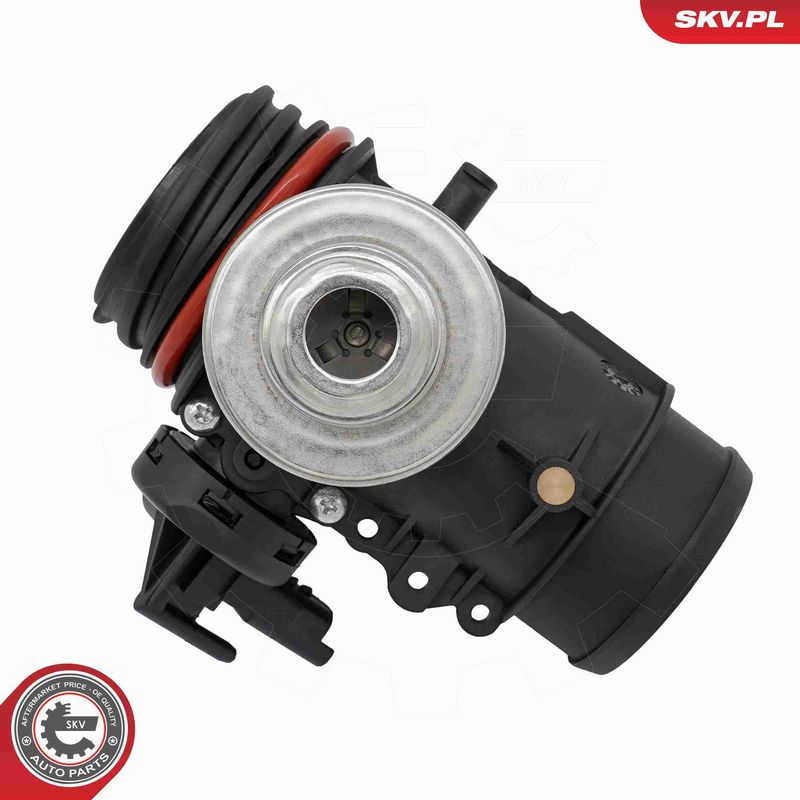 ESEN SKV 14SKV295 EGR Valve