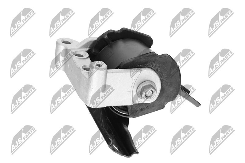 Paigutus, Mootor, NTY ZPS-CH-071