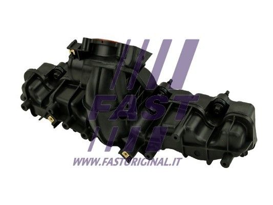 FT49556_2_1.JPG