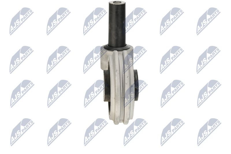 Paigutus, Mootor, NTY ZPS-FT-033