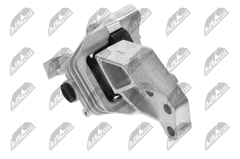 Paigutus, Mootor, NTY ZPS-FT-021