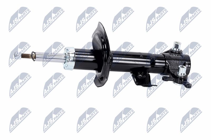 Amort, NTY A-NS-015