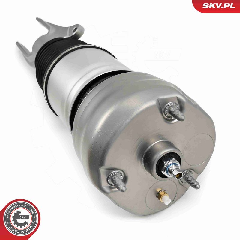 ESEN SKV 58SKV707 Air Suspension Strut