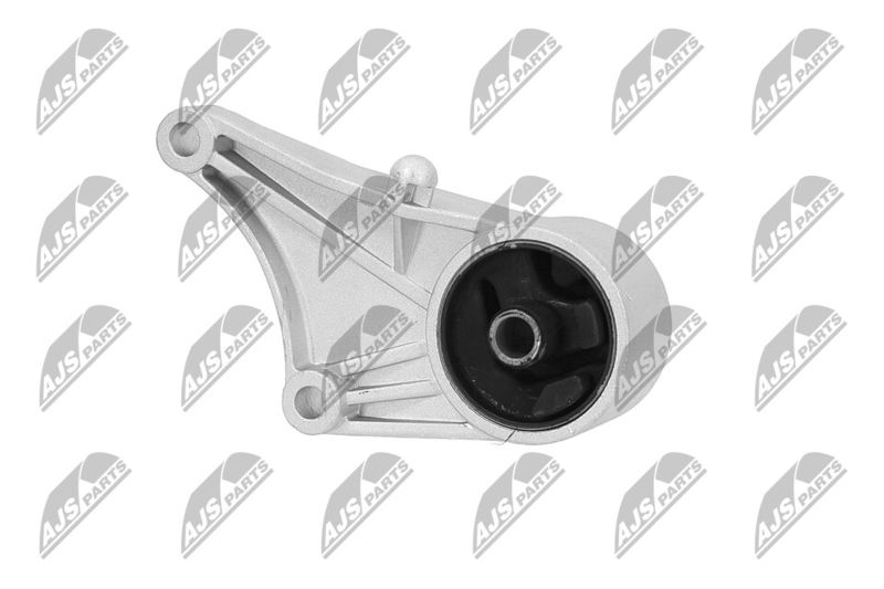 Paigutus, Mootor, NTY ZPS-PL-012