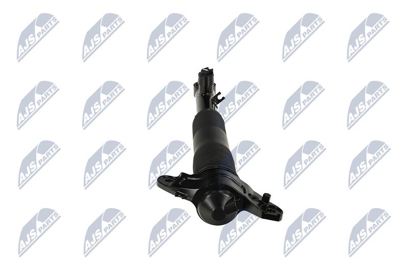 Amort, NTY A-LR-037