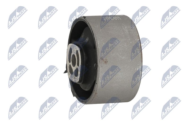 Paigutus, Mootor, NTY ZPS-PE-011