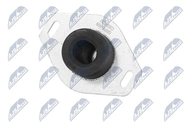 Paigutus, Mootor, NTY ZPS-PE-009