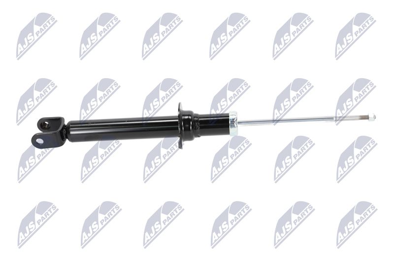 Amort, NTY A-CH-055