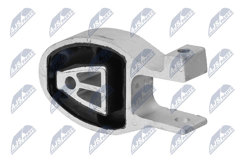 Paigutus, Mootor, NTY ZPS-FR-038